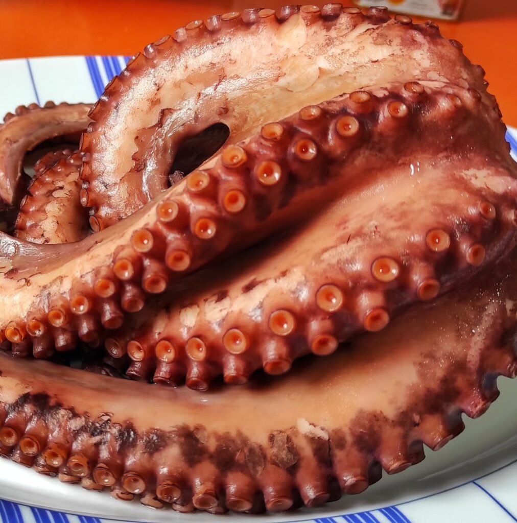 Pulpo