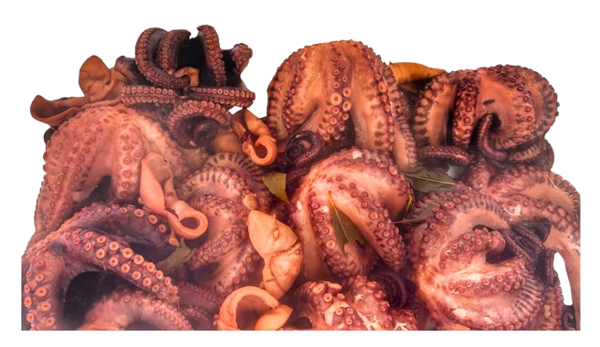 Pulpo cocido en porciones