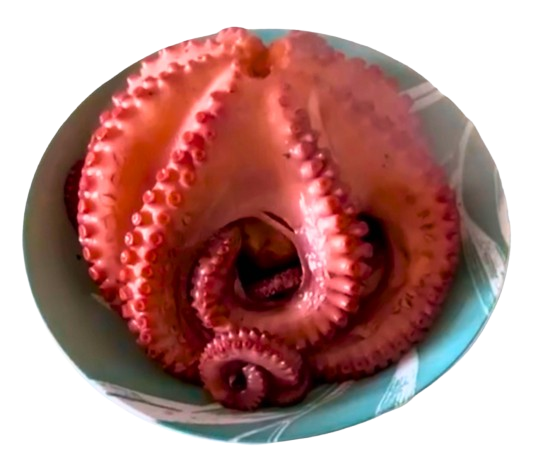 Tentáculos de pulpo rojo cocido